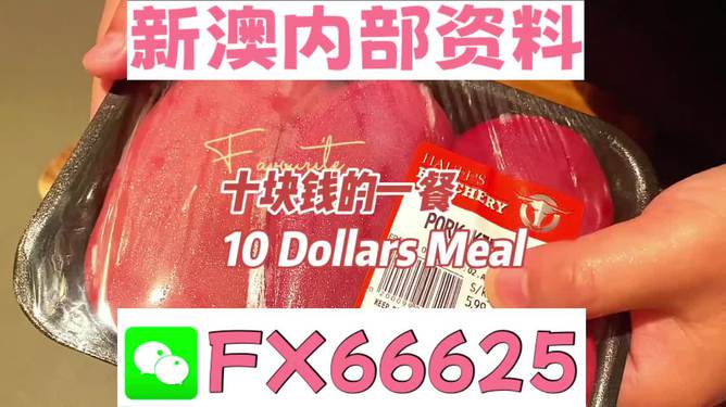 揭秘2025新奧精準正版資料，全方位解讀與SEO優(yōu)化策略，揭秘2025新奧精準正版資料，全方位解讀與SEO策略優(yōu)化指南