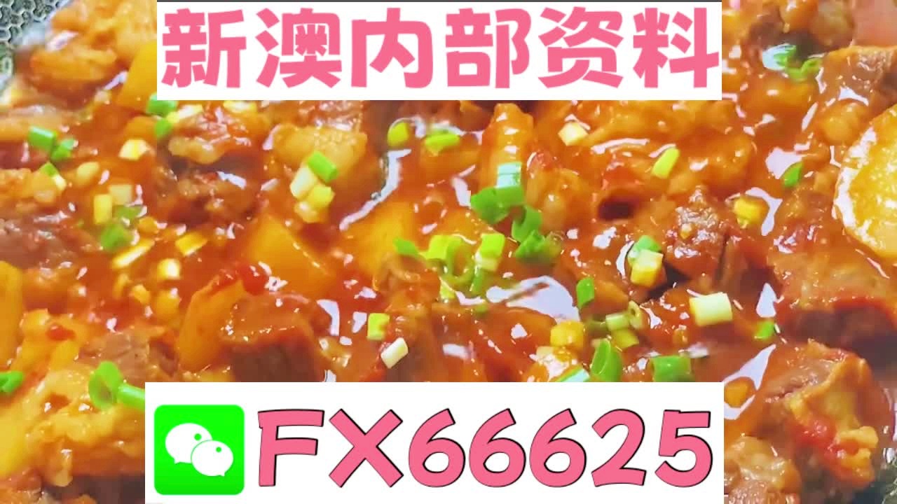 新奧天天免費資料大全——探索與優(yōu)化的SEO之旅，新奧天天免費資料大全，SEO探索與優(yōu)化之旅
