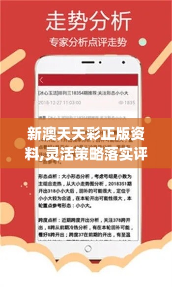 新澳天天開彩期期精準，揭秘彩票預測背后的秘密，揭秘彩票預測真相，新澳天天開彩期期精準之奧秘
