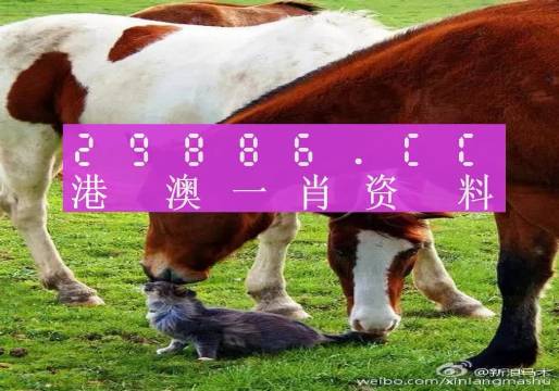 新奧門一肖一碼，揭秘精準(zhǔn)預(yù)測的秘密，揭秘新澳門一肖一碼精準(zhǔn)預(yù)測的秘密