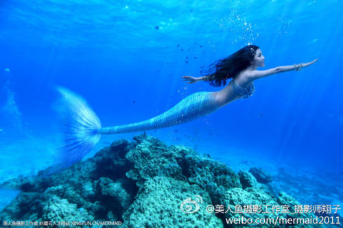 澳門美人魚最快開獎結(jié)果圖——揭秘?zé)衢T彩票游戲背后的秘密，澳門美人魚彩票開獎揭秘，最新結(jié)果圖與游戲背后秘密探索