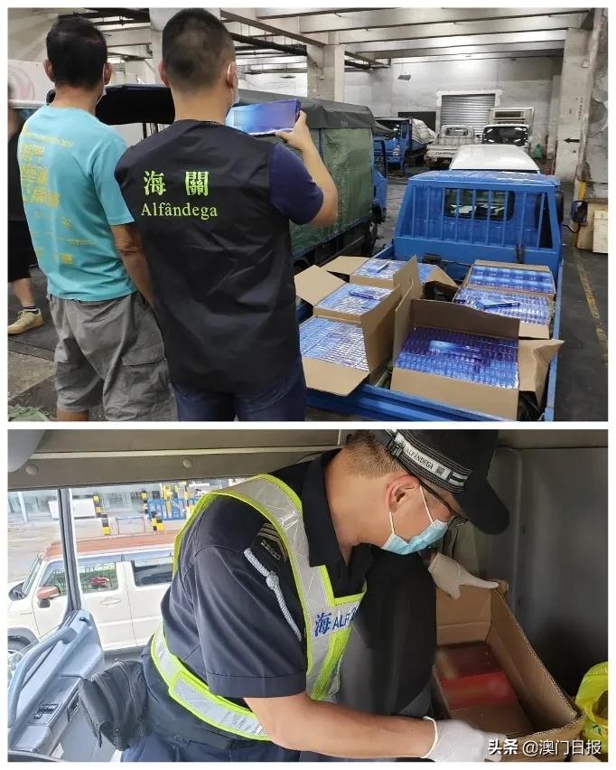 澳門今晚必開一肖080，揭秘生肖運勢與預測之謎，澳門今晚必開一肖揭秘，生肖運勢預測之謎開啟！