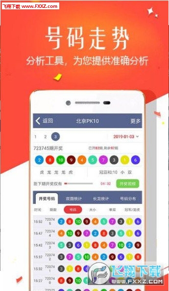 王中王四肖選一，揭秘選擇與優(yōu)化策略，王中王四肖選一，選擇與優(yōu)化策略的揭秘