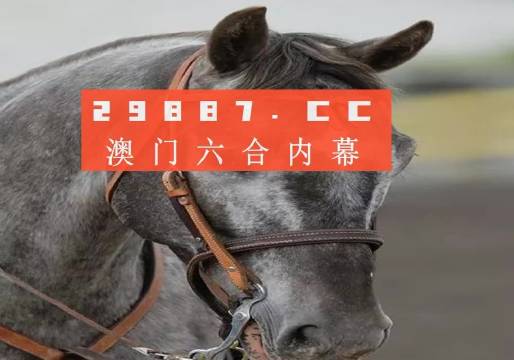 澳門一一碼一特一中準(zhǔn)選今晚，探索真實有效的選擇與策略，澳門今晚一特一中準(zhǔn)選碼，真實有效的選擇與策略探索