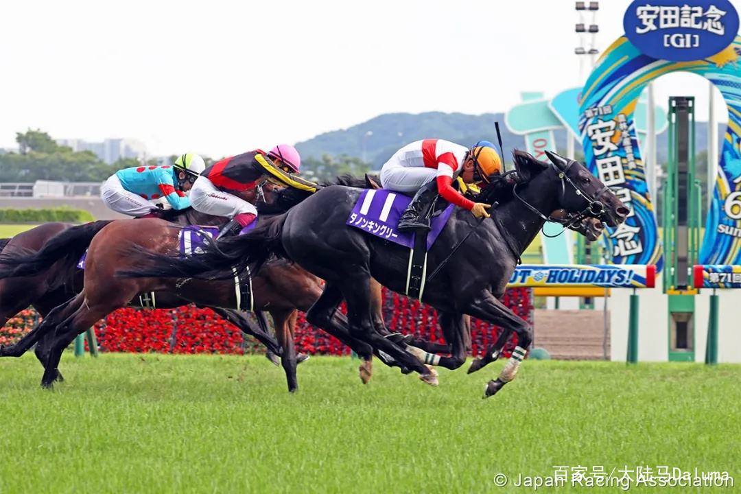 香港王中王與一馬中特肖的獨特魅力，深度解析與探索，香港王中王與一馬中特肖的獨特魅力，深度探索與解析