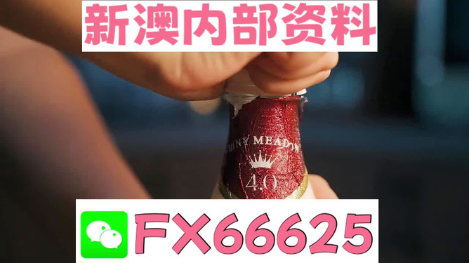 新澳門一碼一碼，揭秘精準預(yù)測的秘密與真相，揭秘澳門一碼一碼精準預(yù)測的秘密與真相