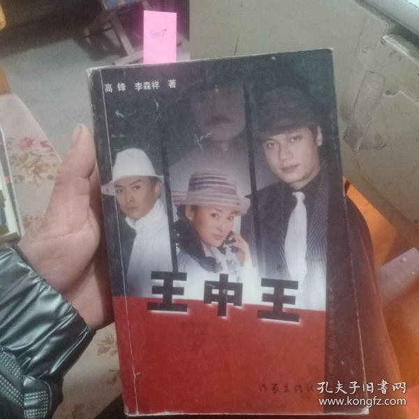 王中王資料一肖中天，深度解析與探索，王中王資料一肖中天，深度剖析與探索