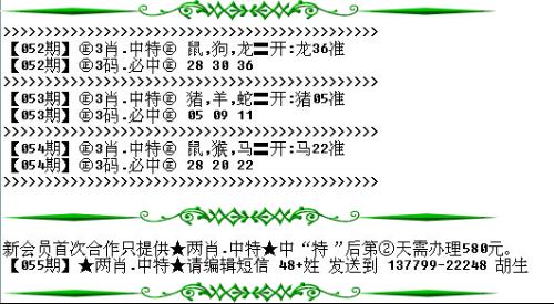 澳門必開一生一肖碼，揭秘背后的秘密與真相，澳門必開一生一肖碼揭秘內(nèi)幕與真相