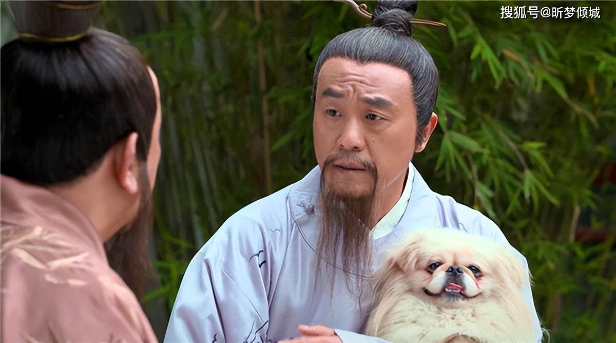 揭秘劉伯溫四不象一肖的神秘面紗——探尋背后的傳奇故事，揭秘劉伯溫四不象一肖背后的傳奇故事，神秘面紗下的神秘傳說