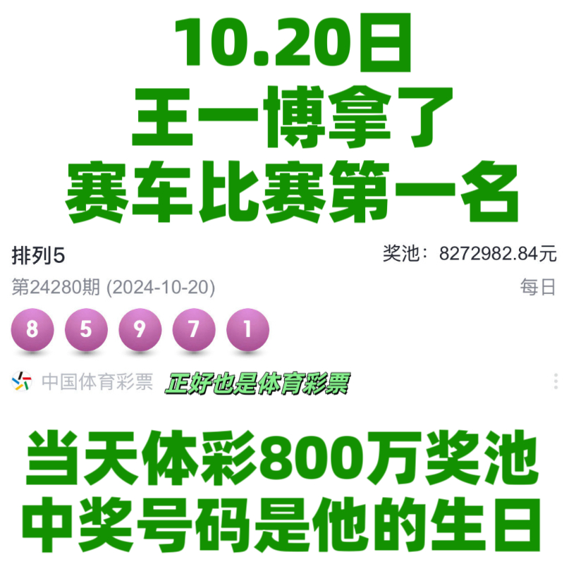 王中王一肖資料中特馬——深度解析與SEO洞察，王中王一肖特馬深度解析與SEO洞察揭秘