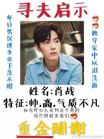 一肖一碼一一肖一子善，探尋命運(yùn)密碼與智慧之光的完美結(jié)合，命運(yùn)密碼與智慧之光，一肖一碼一一肖一子善的探尋