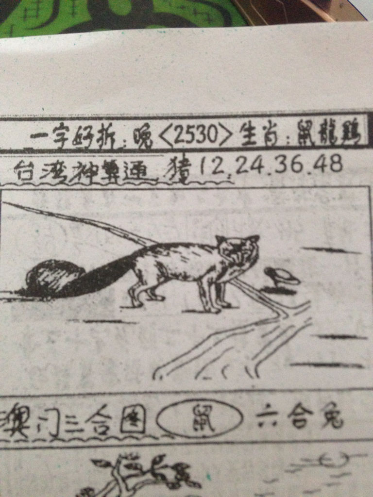揭秘生肖奧秘，看圖猜一生肖劉伯溫的傳奇故事，揭秘生肖奧秘，劉伯溫傳奇故事中的生肖之謎探索