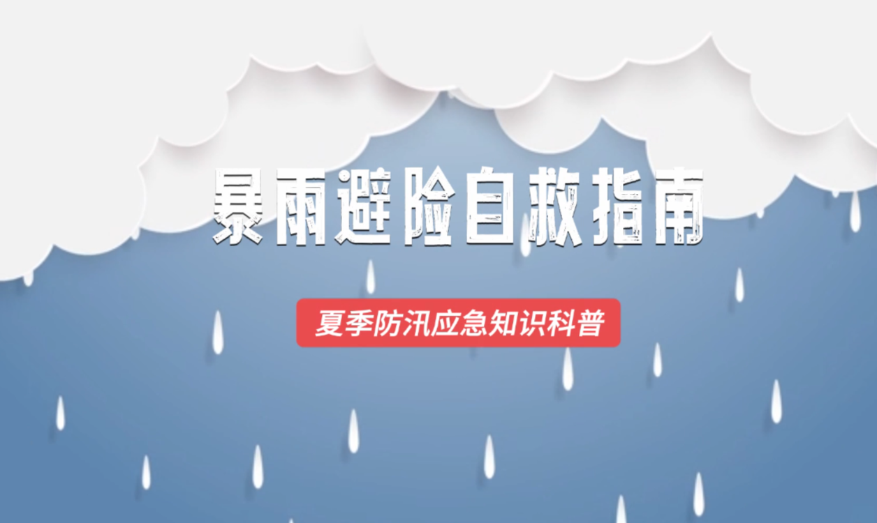 澳門六2023開獎結(jié)果詳解及預測分析，澳門六開獎結(jié)果詳解與預測分析（2023年）