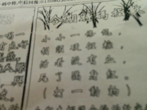 揭秘劉伯溫的一肖一特，探尋神秘傳奇背后的真相，劉伯溫傳奇揭秘，揭秘生肖之謎與獨(dú)特特質(zhì)背后的真相