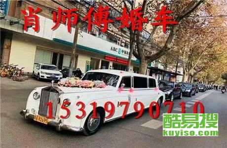 王中王車奪平特一肖免費(fèi)——深度解析與探索，王中王車奪平特一肖，深度解析與免費(fèi)探索