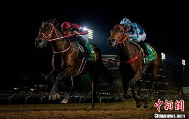 香港王中王一肖中特馬，探索背后的奧秘，香港王中王一肖中特馬背后的奧秘探索