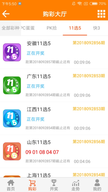 王中王論壇一平特一肖，深度解析與SEO策略，王中王論壇一平特一肖深度解析與SEO策略探討