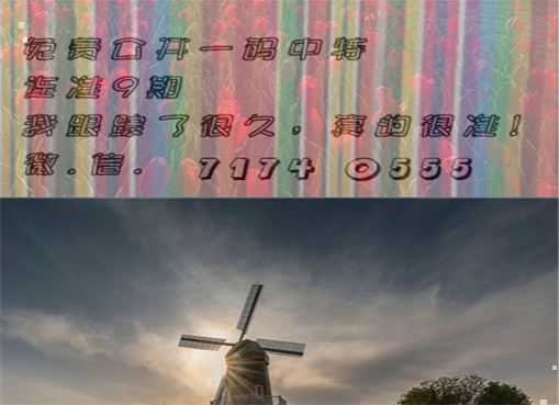 王中王四肖三期必出一期，揭秘彩票背后的秘密策略與技巧，揭秘彩票策略與技巧，王中王四肖三期必出一期之道