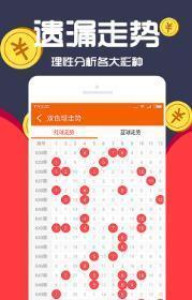 王中王一肖十，深度解析與SEO優(yōu)化策略，王中王一肖十深度解析與SEO優(yōu)化策略探討
