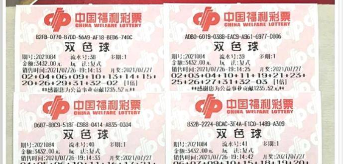 王中王084期指一生肖，解讀背后的秘密與生肖運勢分析，王中王084期生肖揭秘，秘密解讀與運勢展望