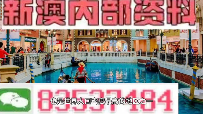 澳門王中王六碼新澳門，探索與解析，澳門王中王六碼新澳門，深度探索與解析