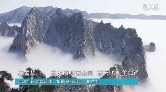 澳門最精準(zhǔn)龍門，探索真正的精準(zhǔn)之道，澳門最精準(zhǔn)龍門，揭秘真正的精準(zhǔn)之道