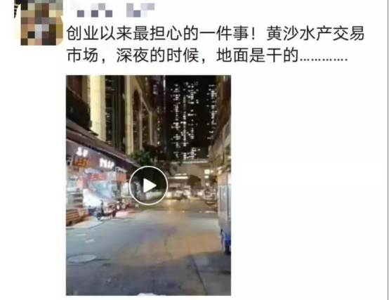 好料盡在王中王——揭秘生肖運勢的獨特魅力，揭秘生肖運勢獨特魅力，王中王好料大解密