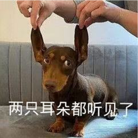 王中王四不象必中一肖，揭秘背后的秘密與策略，揭秘王中王四不象必中一肖背后的秘密與策略之道