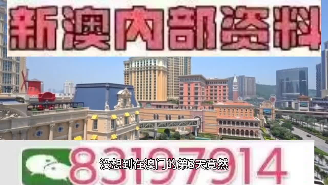 新澳門今晚必開一肖一特，探索生肖與特碼的魅力，澳門生肖特碼探索，今晚必開一肖一特之魅力
