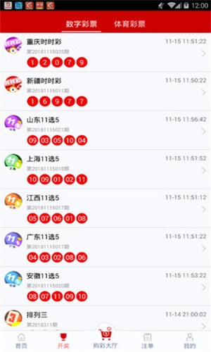 一碼一肖，揭秘背后的秘密與探索其獨(dú)特魅力，揭秘一碼一肖背后的秘密與獨(dú)特魅力探索