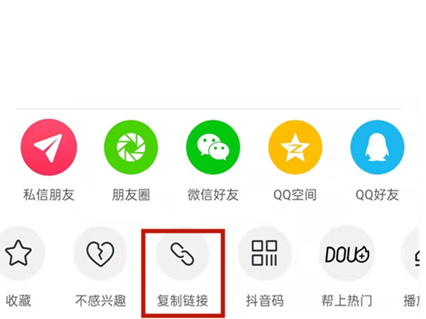白小姐王中王中特一肖，神秘傳奇與SEO探索，神秘傳奇與SEO探索，白小姐王中王中特一肖的奧秘