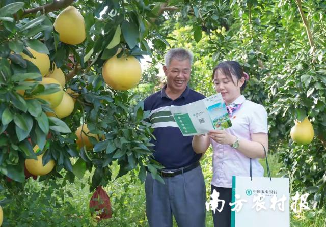 資料大全正版資料2025，一站式獲取所有你需要的信息，資料大全正版資料2025，一站式獲取所有信息總匯