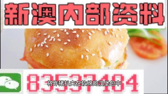 2025新澳正版資料精準解析，2025新澳正版資料精準解析手冊