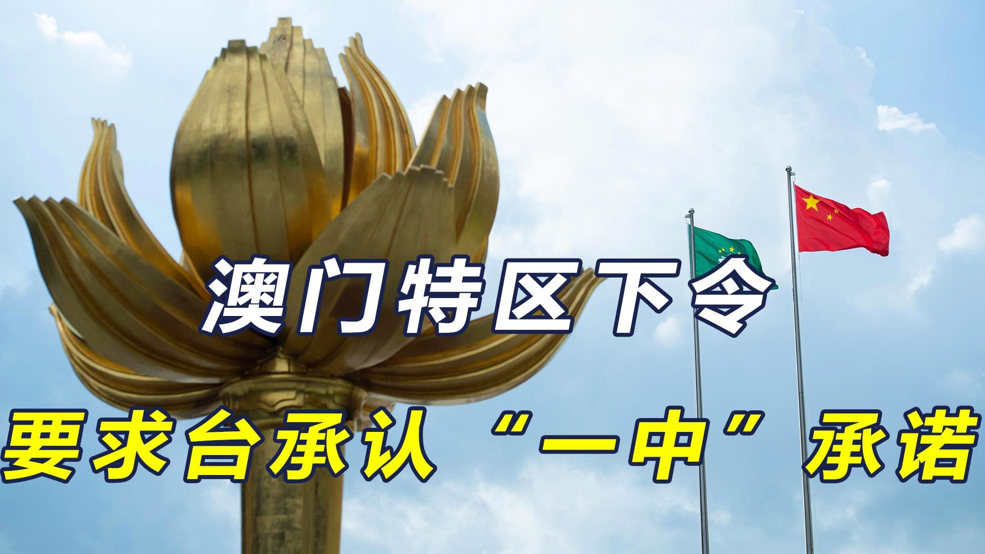 澳門一碼一肖一恃一中312期，揭秘與探索彩票文化背后的秘密，澳門彩票文化揭秘，一碼一肖背后的探索與奧秘
