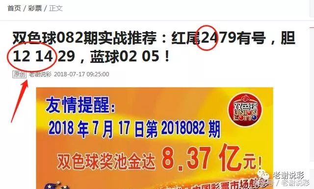王中王082期指一生肖——探尋生肖魅力，洞悉運(yùn)勢奧秘，探尋生肖魅力，揭秘運(yùn)勢奧秘——王中王生肖運(yùn)勢解析 082期
