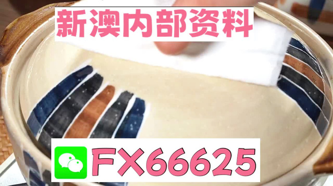 新澳精準(zhǔn)資料免費提供，探索與實踐的指南，新澳精準(zhǔn)資料免費分享，探索與實踐的導(dǎo)航指南