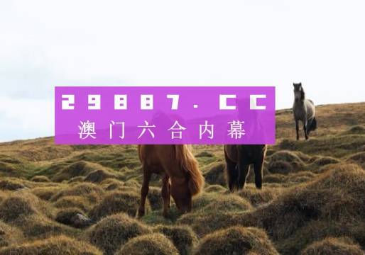 澳門(mén)六開(kāi)獎(jiǎng)結(jié)果2023開(kāi)獎(jiǎng)記錄查詢(xún)網(wǎng)站——全面解析與最新資訊，澳門(mén)六開(kāi)獎(jiǎng)結(jié)果最新解析與資訊，全面查詢(xún)2023年開(kāi)獎(jiǎng)記錄