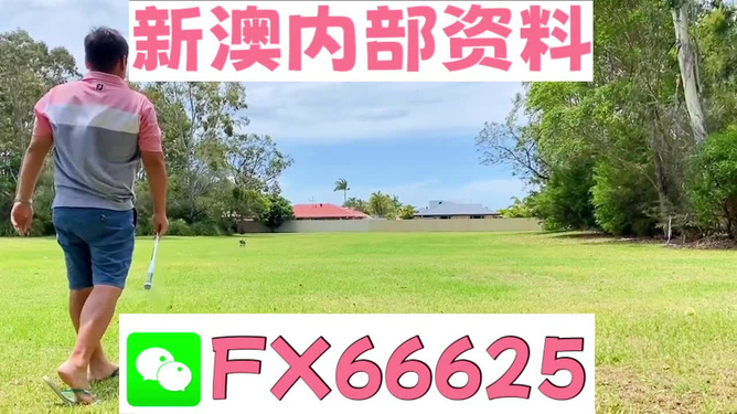 王中王一碼二肖，揭秘背后的秘密，揭秘王中王一碼二肖背后的秘密