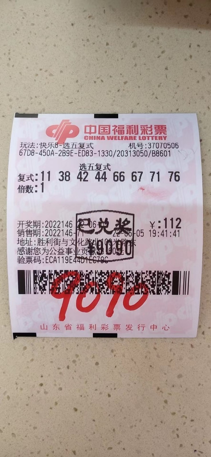 揭秘002期王中王平特一肖，背后的故事與奧秘，揭秘王中王平特一肖背后的故事與奧秘（第002期）