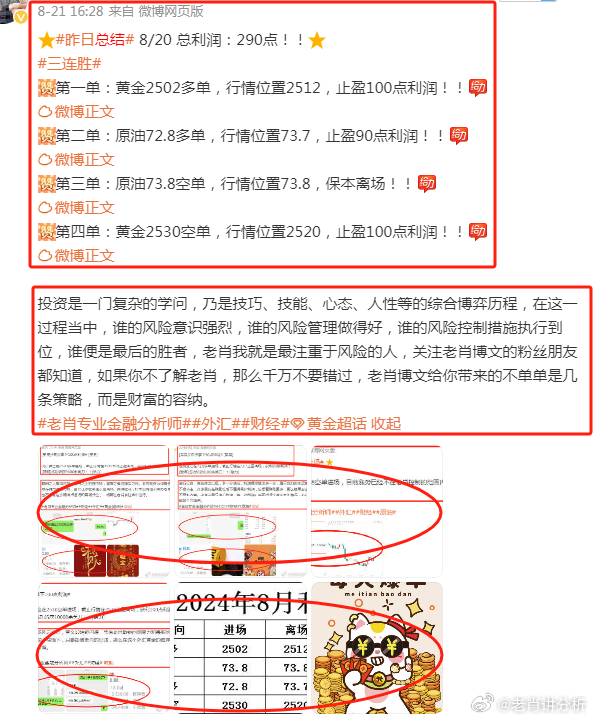 王中王富婆中一肖——揭秘背后的故事與真相，揭秘王中王富婆中一肖背后的真相與故事