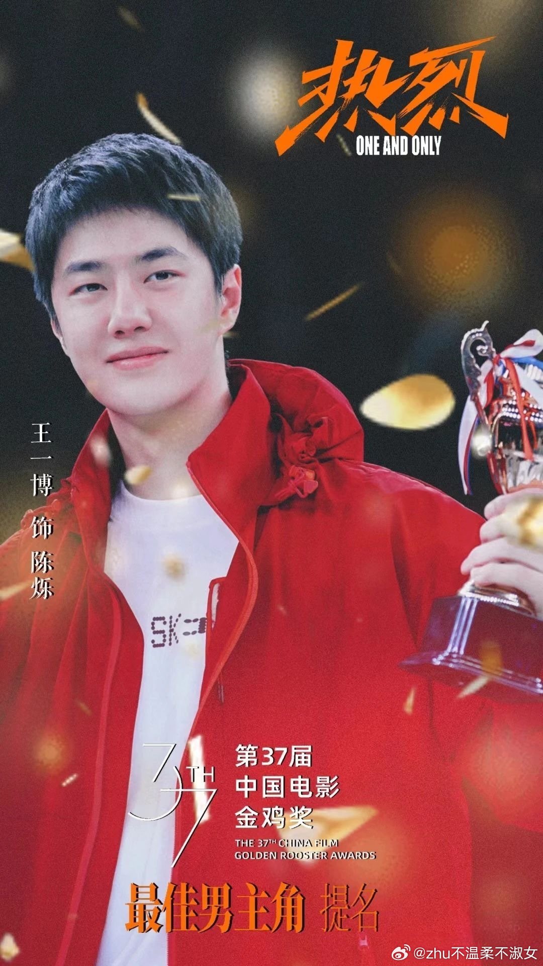 王中王一肖一特一中一中，探尋背后的故事與奧秘，探尋王中王一肖背后的故事與奧秘