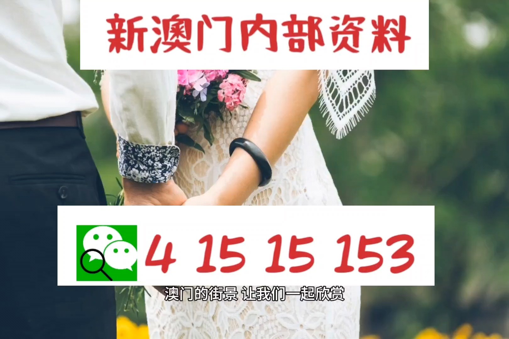 新澳精準資料，深度解析與探索，新澳精準資料深度解析與探索之旅