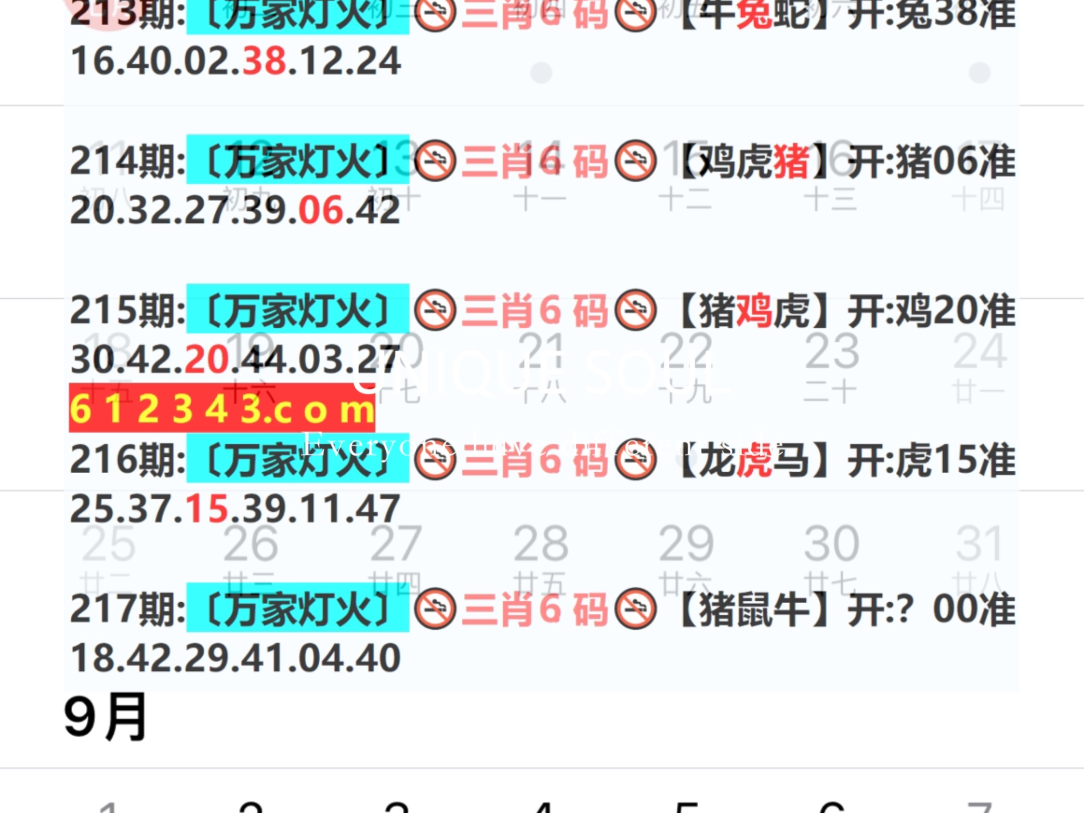 新奧今日六肖中特，揭秘背后的秘密與趨勢(shì)分析，揭秘新奧今日六肖中特背后的秘密與趨勢(shì)分析