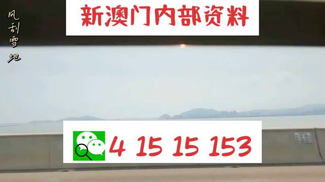 新澳2025最新資料生肖，深度解析與預(yù)測(cè)展望，新澳2025最新生肖資料深度解析與未來(lái)預(yù)測(cè)展望