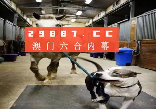 澳門一肖一碼一必中一肖，同舟前進(jìn)的奧秘與策略，澳門一肖一碼必中策略與前進(jìn)奧秘，同舟共濟(jì)的揭秘與策略