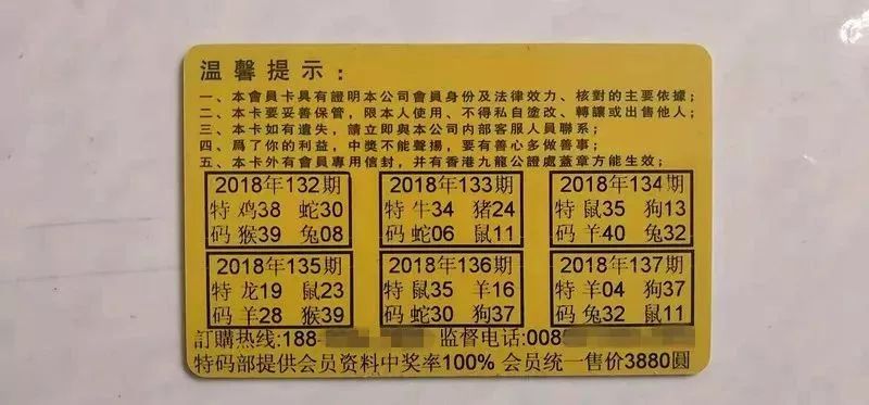 香港中特期期準(zhǔn)資料，深度解析與探索，香港中特期期準(zhǔn)資料深度解析與探索報(bào)告