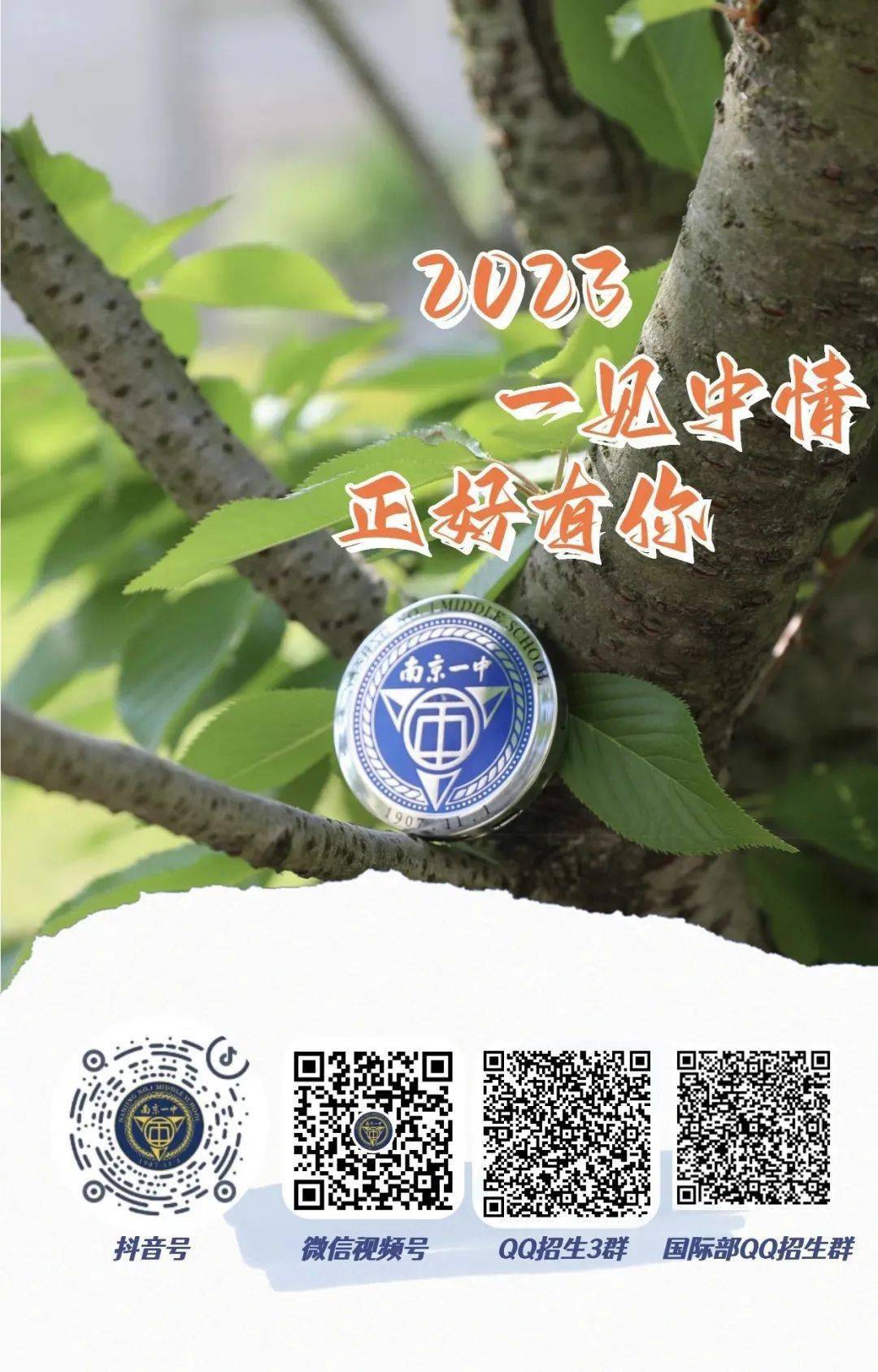 一碼一肖一特一中，揭秘背后的秘密與奧秘，揭秘一碼一肖一特一中背后的秘密奧秘