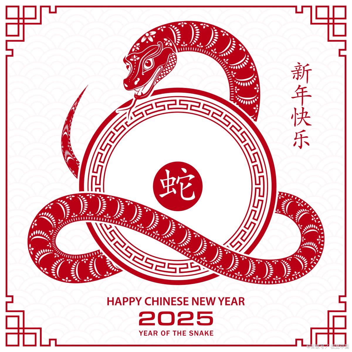 新澳2025年生肖圖，探尋未來(lái)運(yùn)勢(shì)與幸運(yùn)符號(hào)，新澳2025年生肖圖，探尋未來(lái)運(yùn)勢(shì)，揭秘幸運(yùn)符號(hào)