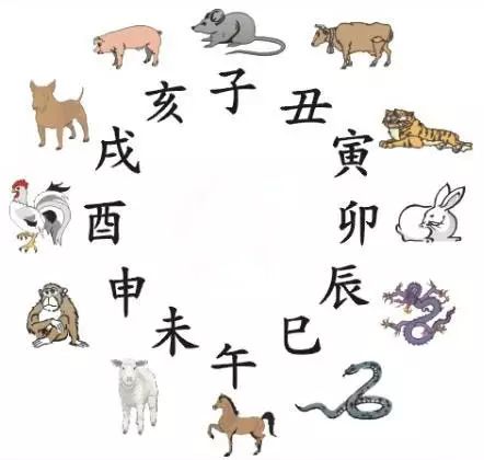 澳門天天彩期期精準(zhǔn)十二生肖預(yù)測——揭秘彩票秘密，澳門天天彩期期精準(zhǔn)十二生肖預(yù)測，揭秘彩票秘密之獨家解析