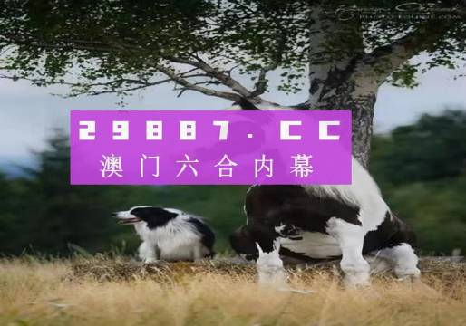 揭秘7777788888精準(zhǔn)新跑狗——全方位解讀與體驗(yàn)，揭秘精準(zhǔn)新跑狗，全方位解讀與體驗(yàn)7777788888跑狗秘籍